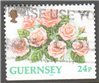 Guernsey Scott 489a Used
